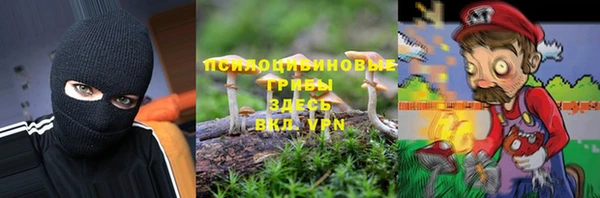 а пвп мука Абаза
