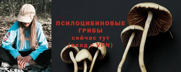 кокс Алексин