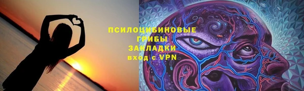 кокс Алексин
