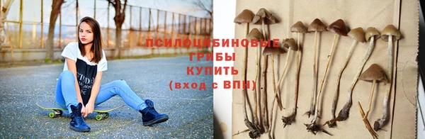 СК Алексеевка