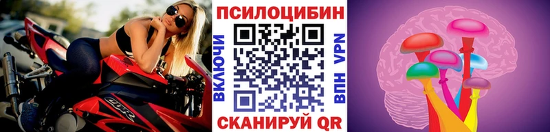 цена   Дедовск  Галлюциногенные грибы мухоморы 